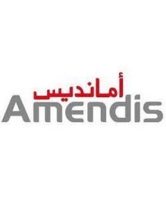 AMENDIS