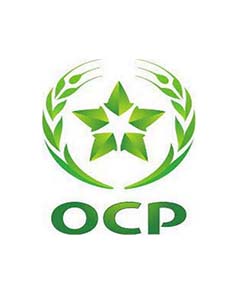 OCP-2-240x300